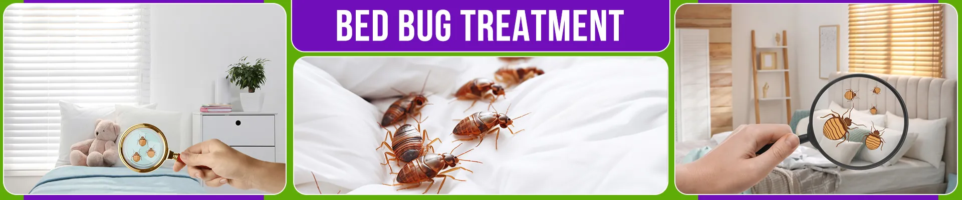 carpet cleaning in brooklyn, carpet cleaning in new york, carpet cleaning brooklyn, carpet cleaners in brooklyn, carpet cleaners in new york, commercial carpet cleaning, commercial carpet cleaning in brooklyn, brooklyn rug cleaners, rug cleaning services in brooklyn, same day carpet cleaning, same day rug cleaning