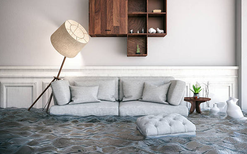 carpet cleaning in brooklyn, carpet cleaning in new york, carpet cleaning brooklyn, carpet cleaners in brooklyn, carpet cleaners in new york, commercial carpet cleaning, commercial carpet cleaning in brooklyn, brooklyn rug cleaners, rug cleaning services in brooklyn, same day carpet cleaning, same day rug cleaning