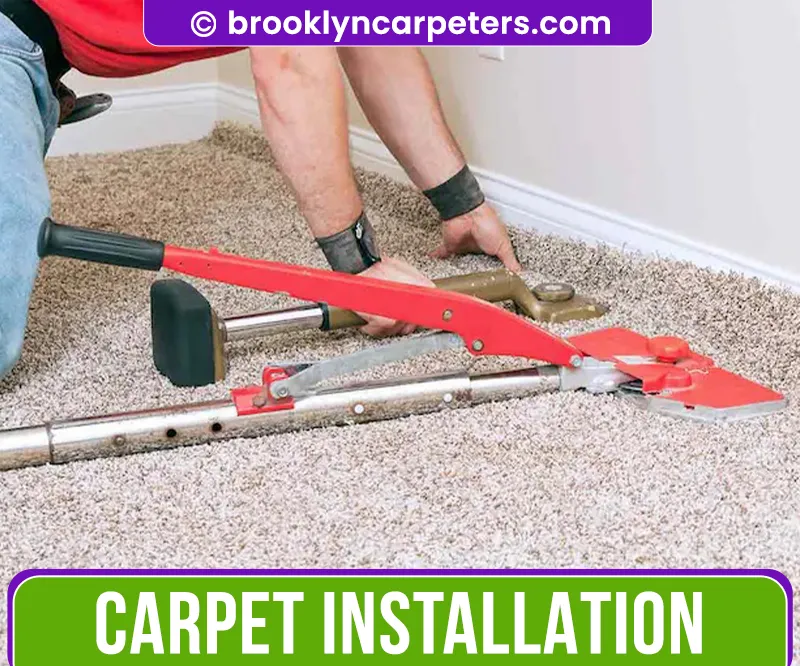 carpet cleaning in brooklyn, carpet cleaning in new york, carpet cleaning brooklyn, carpet cleaners in brooklyn, carpet cleaners in new york, commercial carpet cleaning, commercial carpet cleaning in brooklyn, brooklyn rug cleaners, rug cleaning services in brooklyn, same day carpet cleaning, same day rug cleaning
