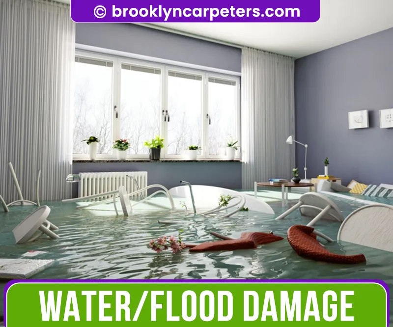 carpet cleaning in brooklyn, carpet cleaning in new york, carpet cleaning brooklyn, carpet cleaners in brooklyn, carpet cleaners in new york, commercial carpet cleaning, commercial carpet cleaning in brooklyn, brooklyn rug cleaners, rug cleaning services in brooklyn, same day carpet cleaning, same day rug cleaning